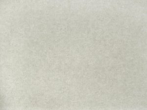 18909