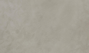 716c6faf27aa0456362e7dca52ca1fad