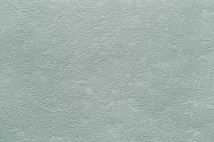 b5293