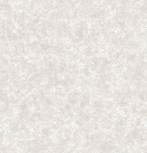 ПАОЛА ФОН 03