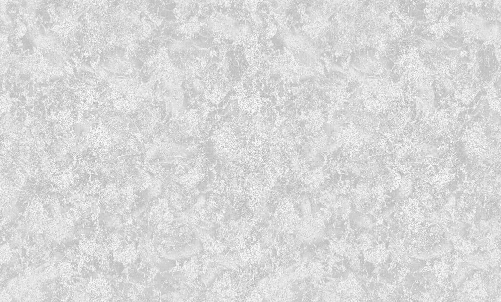 РАДЖА ФОН 03