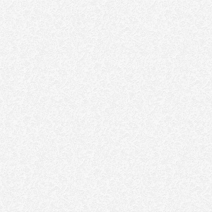 СНЕЖНЫЙ 03
