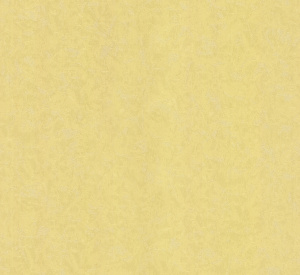 9005-10