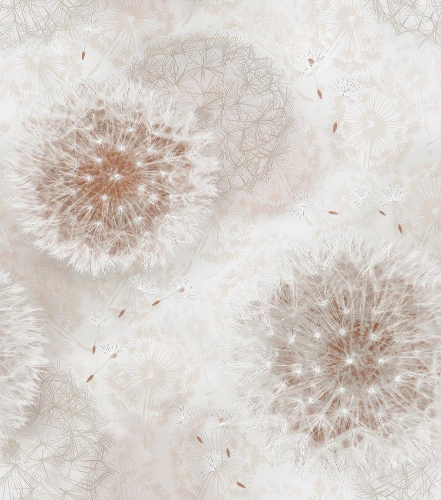 ОДУВАНЧИКИ 02