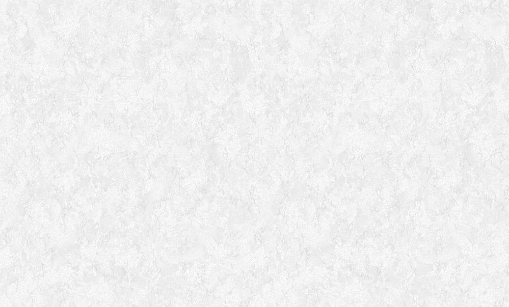 РАДЖА ФОН 01