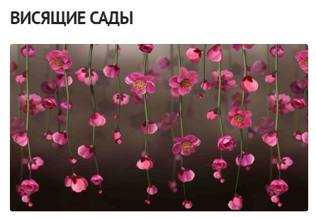 висящие сады
