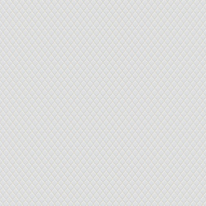 СВЕТЛАНА ФОН 06