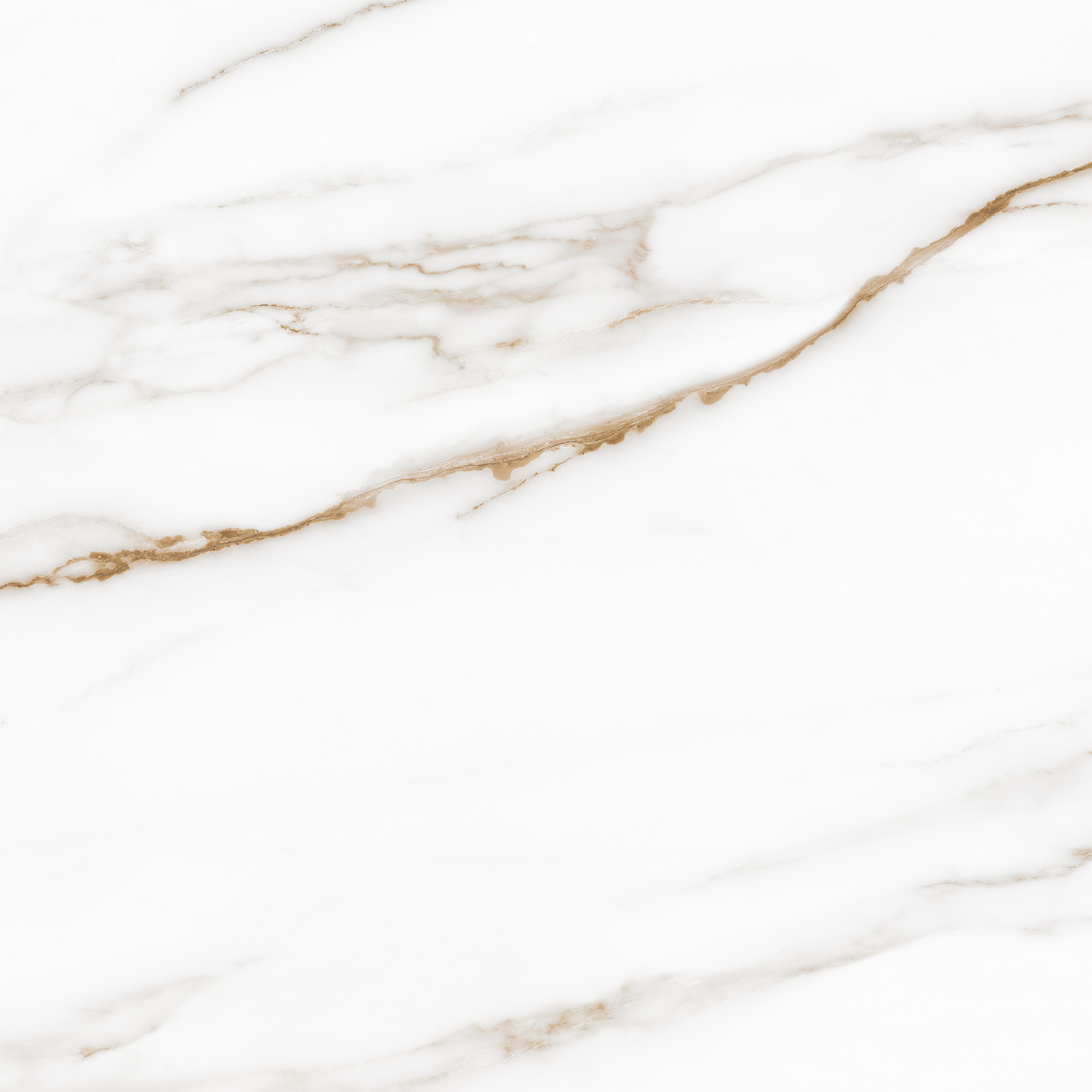 Royal-white-PG-01-450kh450-F1