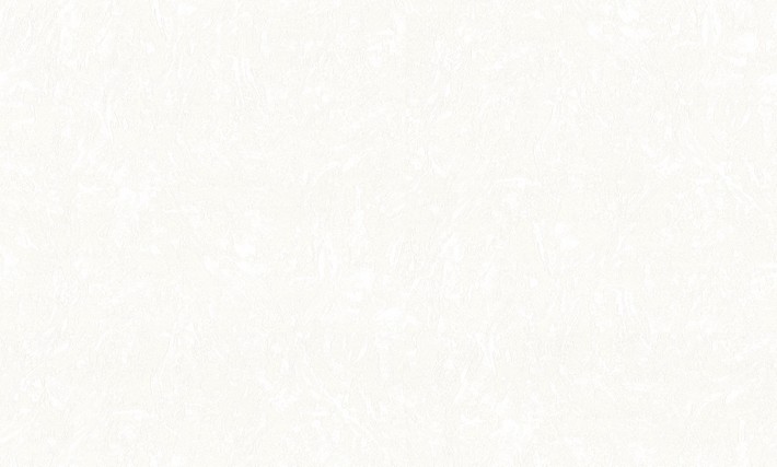 50081