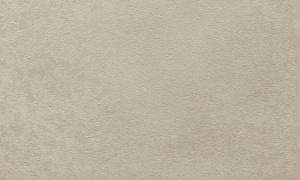 6ff506df0f15f0de2fc84ce271781cb9
