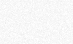 jff7jh22rta7efi3m91i4fq00dfintlu