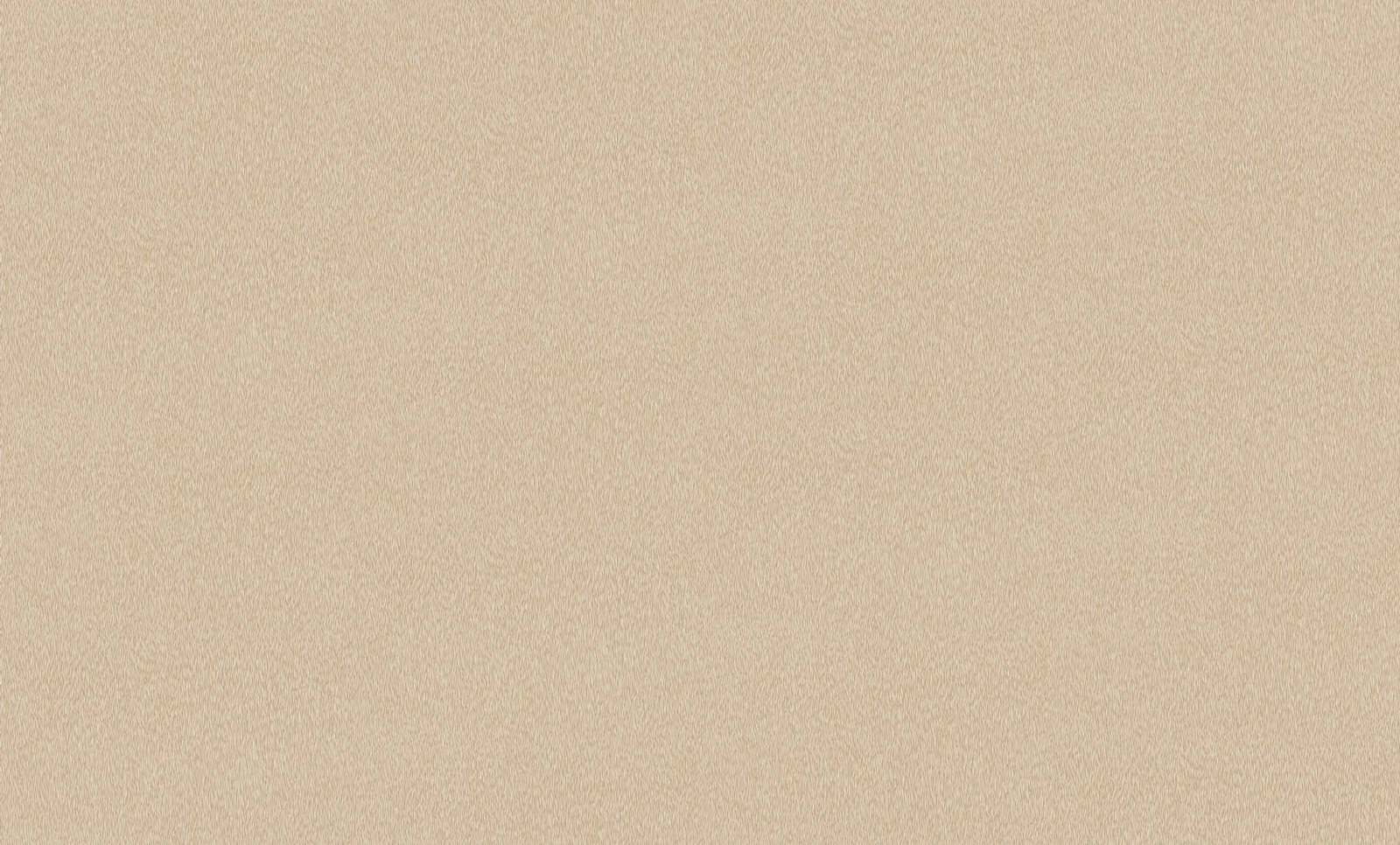 2a6358bdce8f7697d493bba3d3857d9a_one_item_prev