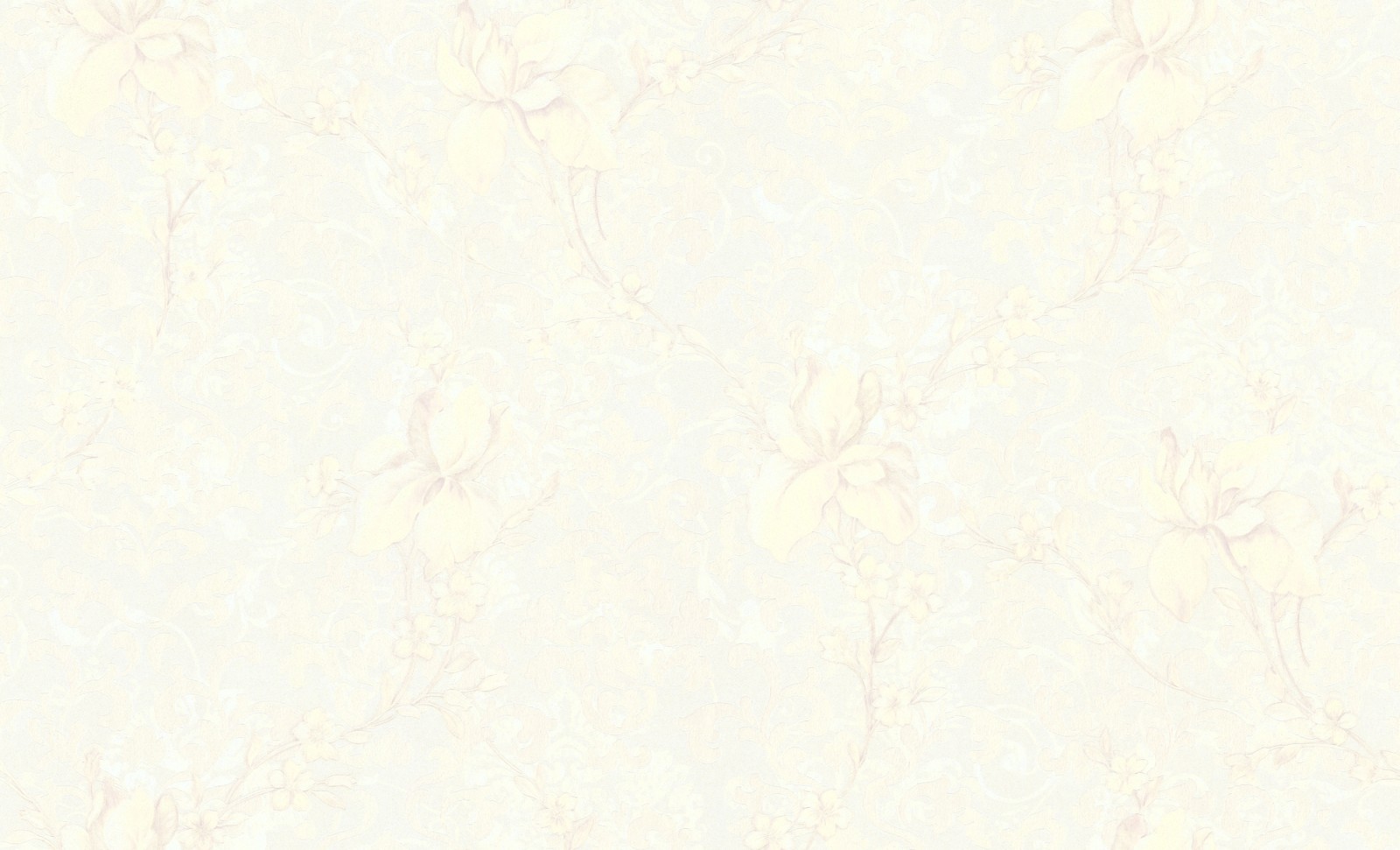168031-20-oboykin-maxwall