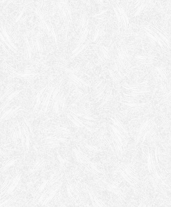ВЕРНИСАЖ ФОН 06