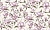 5768ebe8c01d4eb4447bbb08b01cfc4d