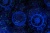 MACRO_PHOTOvImg_HC71450_(4)