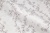 CAT_MACRO_PHOTOjI_HC31197-28_(4)