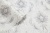 CAT_MACRO_PHOTOvImg_PL71855-14_(2)
