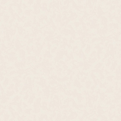 168385-23-01-oboykin-maxwall-renaissance