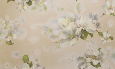 7d449e3556102e60dcfee58a7e99c70e