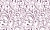 930d98594115967ccd525af5195724b2_one_item_prev