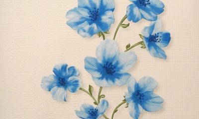 f2c1764d30fc66cefd0c553b7c3c1148