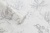 CAT_MACRO_PHOTOsImg_PL71810-14_(2)