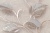MACRO_PHOTOaImg_PL71750-28_(5)