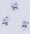 Камелия 567-01 (12) обои М-Color дуплекс