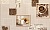 f39a68b91b63cfb65208272134ea881c