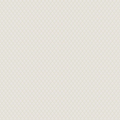 СВЕТЛАНА ФОН 02