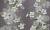 e9bf718b0344cfda22ab67cc18969997