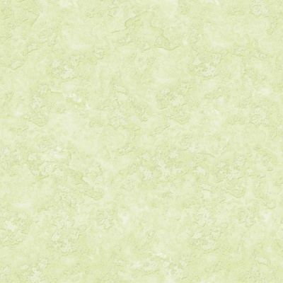 ГОЛЛАНДИЯ ФОН 04