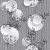 1068-021-evelina.dc391a3e