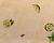 b5339