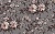 493f95de4416643a39afe962e15bbc89_one_item_prev