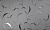 a739e018195b716a11d67a68cfeebfa1