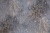 MACRO_PHOTOiImg_PL71790-46_(7)
