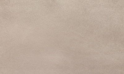 3bf14571b42a69f1420bb4e993a55d2b