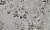 ee8fec7b5bc7468302ebf2ea21cae2ee