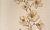 b8acfaff41300abb5cb93f74205d08a4