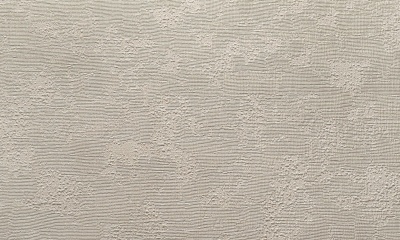 bcc5457a5aff87e0fd40d9ea62c3f1a4